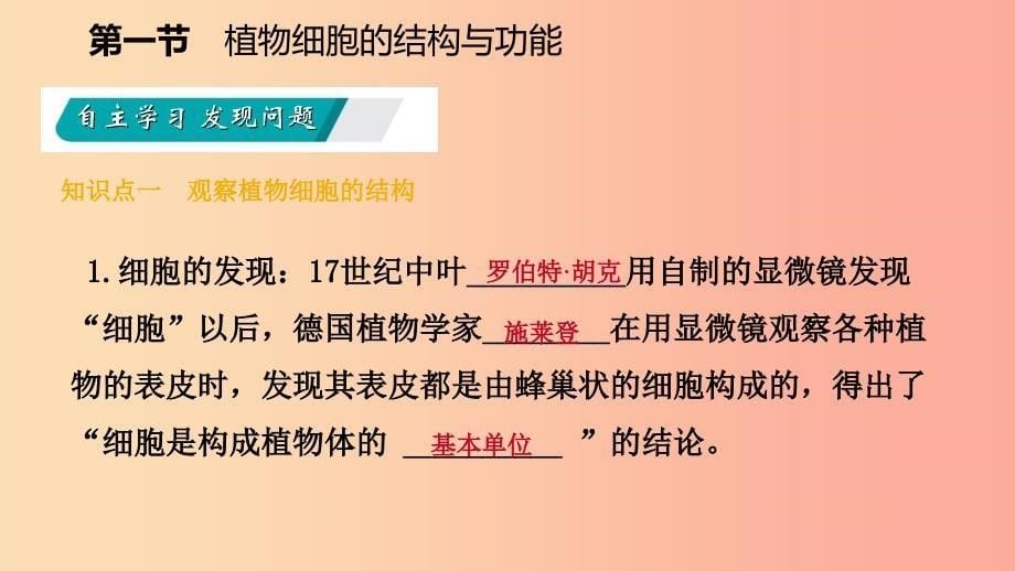 2019年七年级生物上册第二单元第三章第一节植物细胞的结构与功能课件新版苏教版.ppt_第5页