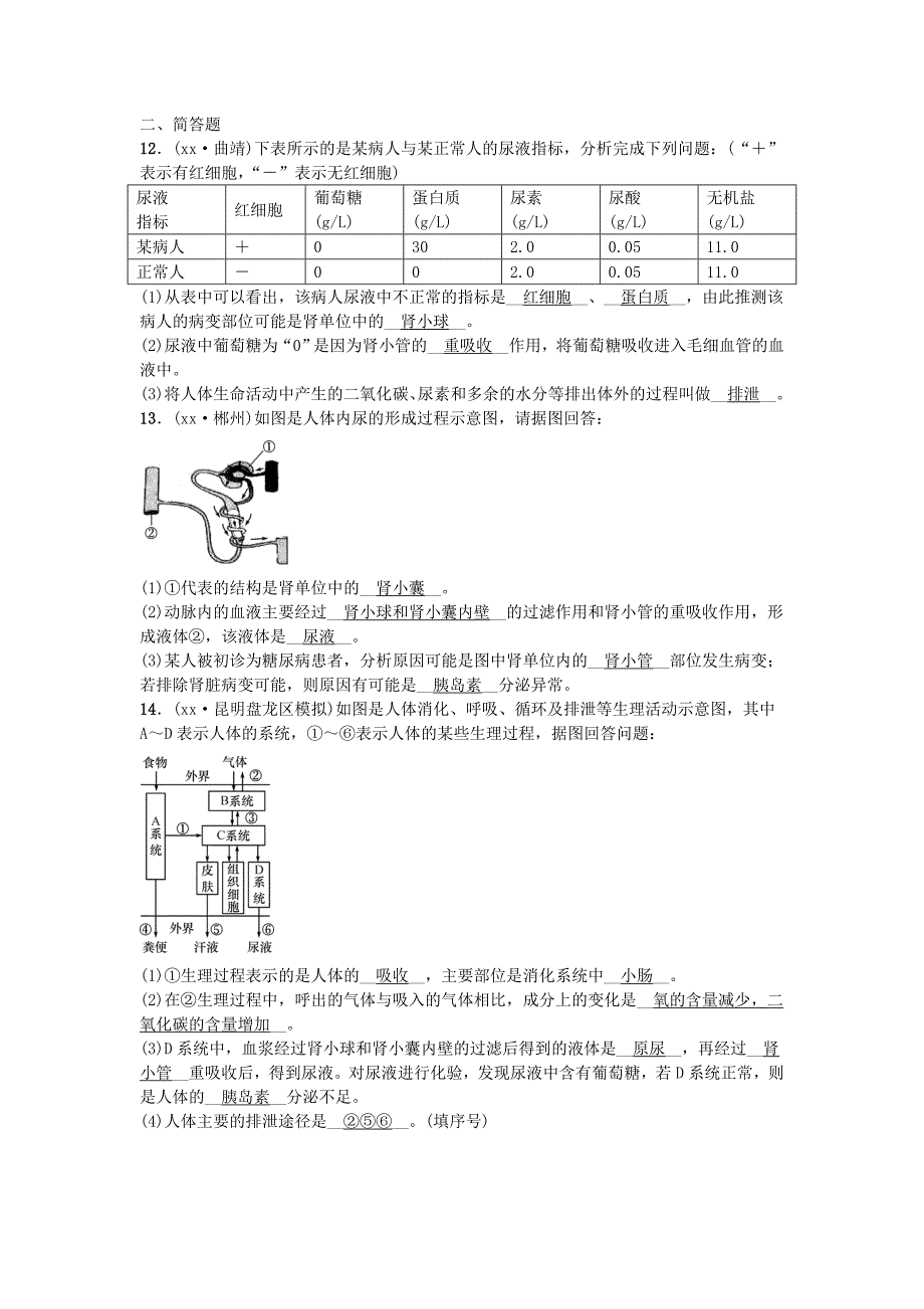 云南专版2022届中考生物教材考点梳理第11课时人体内废物的排出_第4页