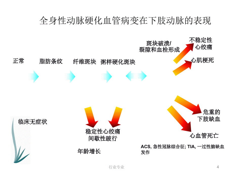 下肢动脉硬化闭塞症诊治指南行业专业_第4页