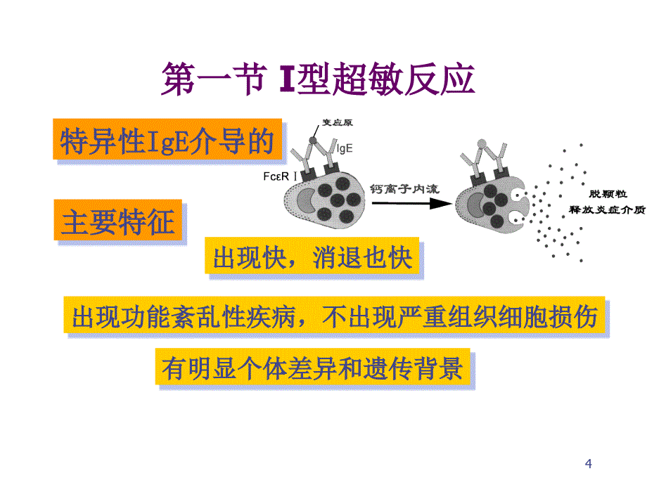 C17超敏反应复习过程_第4页