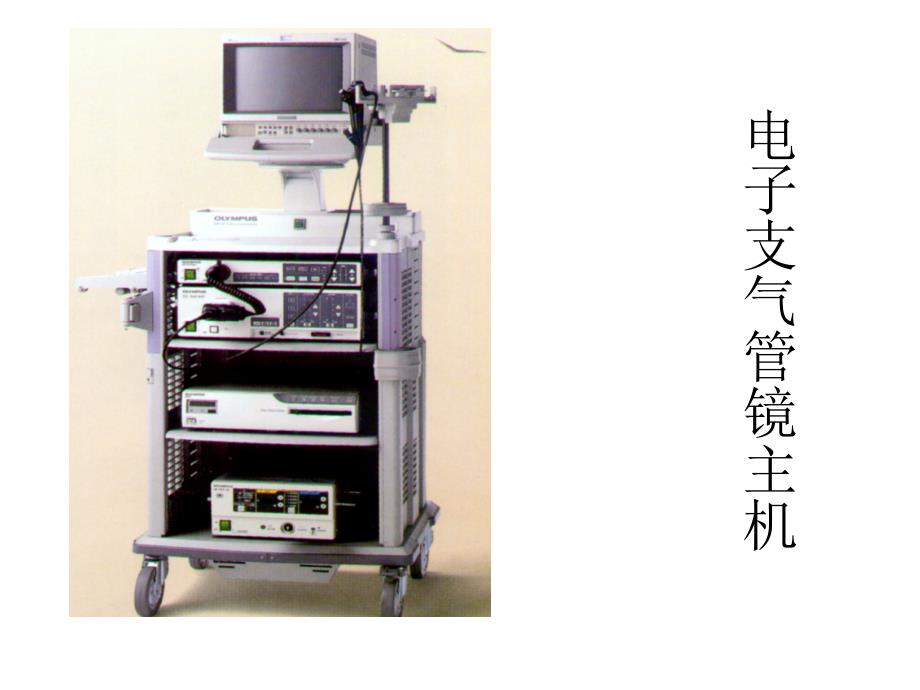 支气管镜进修汇报_第3页