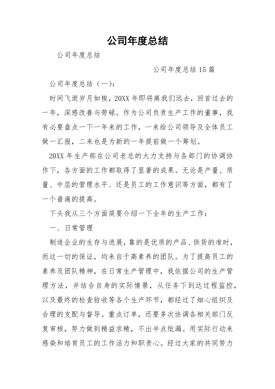 公司年度总结.docx_第1页