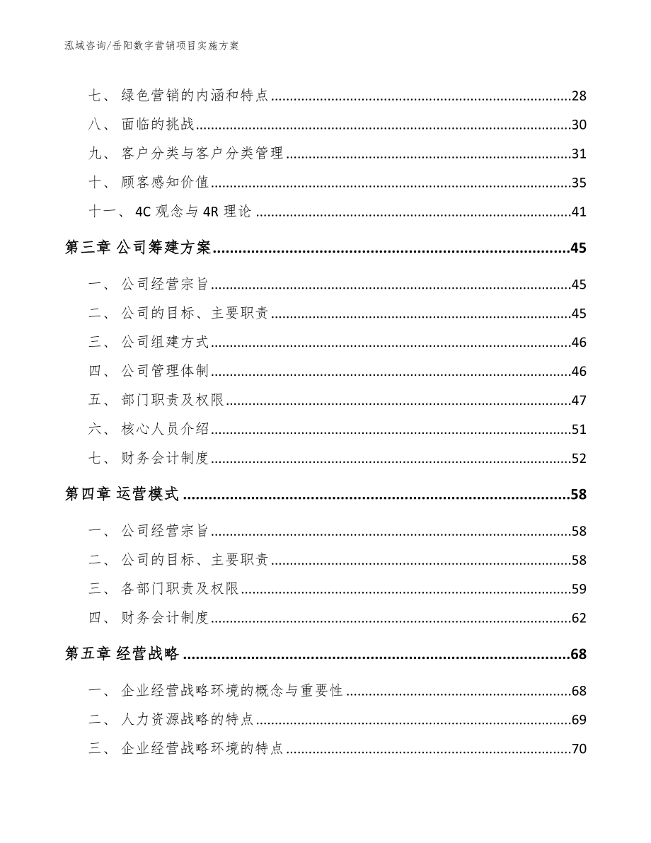 岳阳数字营销项目实施方案模板范本_第4页
