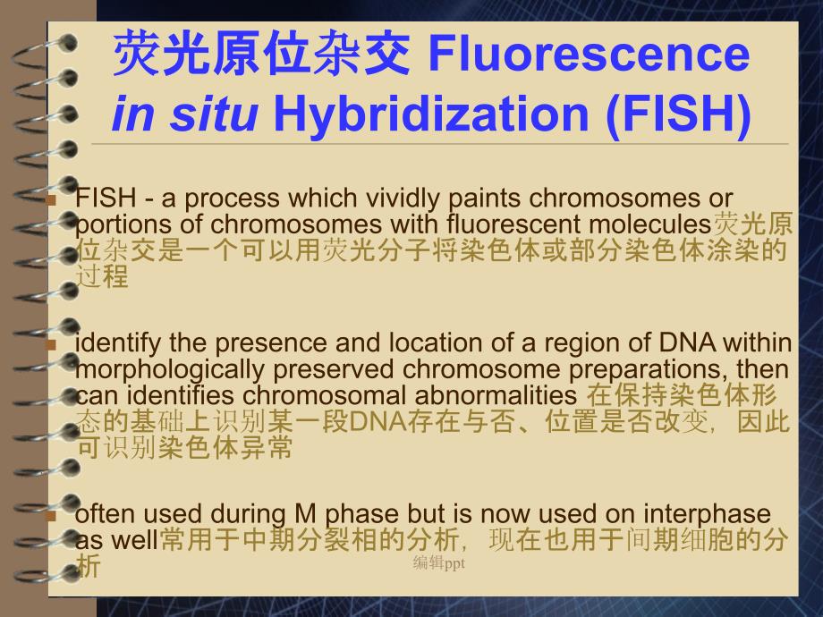 FISH技术及应用_第2页