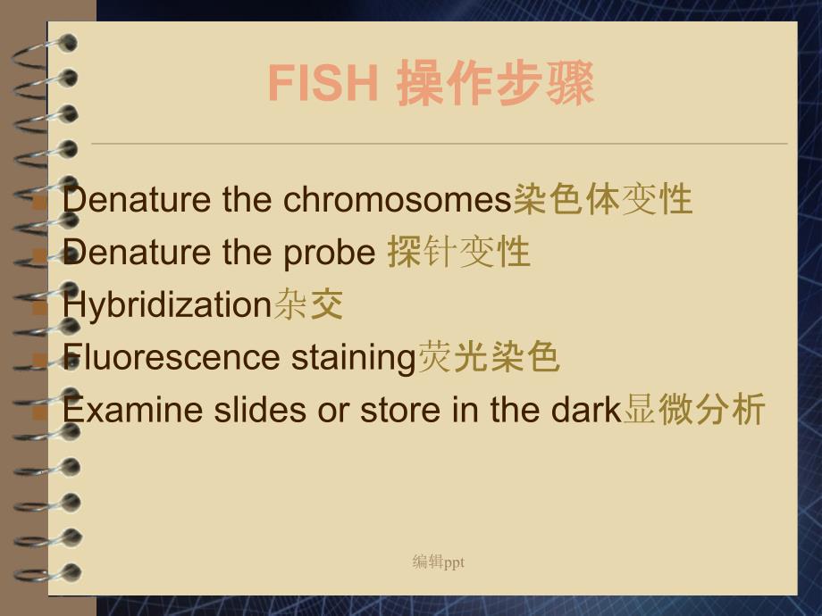 FISH技术及应用_第4页