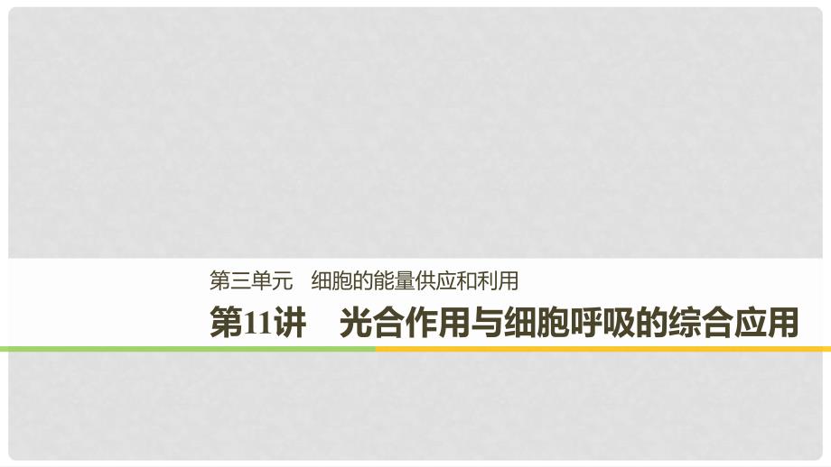 高考生物一轮复习 第3单元 细胞的能量供应和利用 第11讲 光合作用与细胞呼吸的综合应用课件_第1页