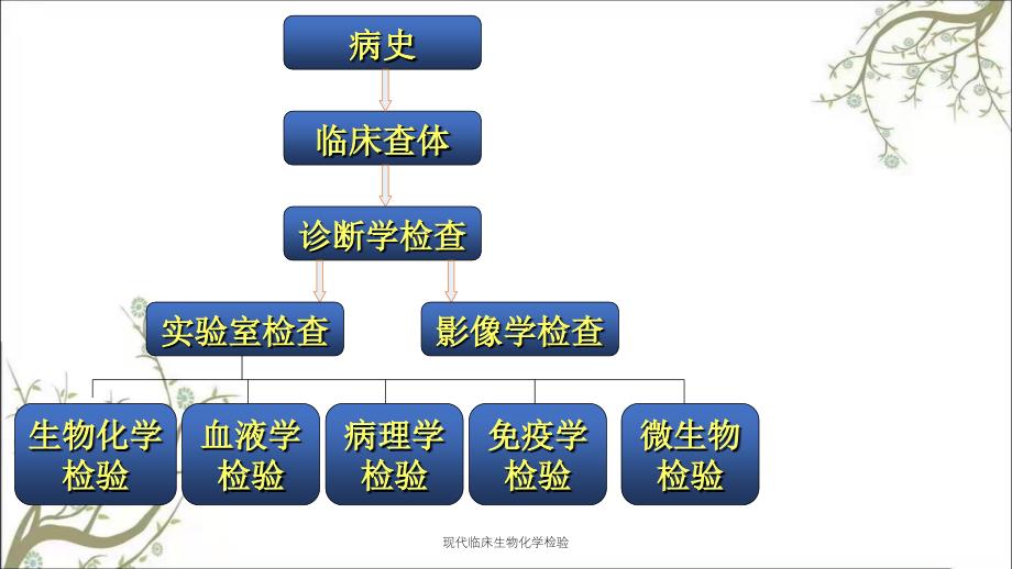 现代临床生物化学检验_第2页