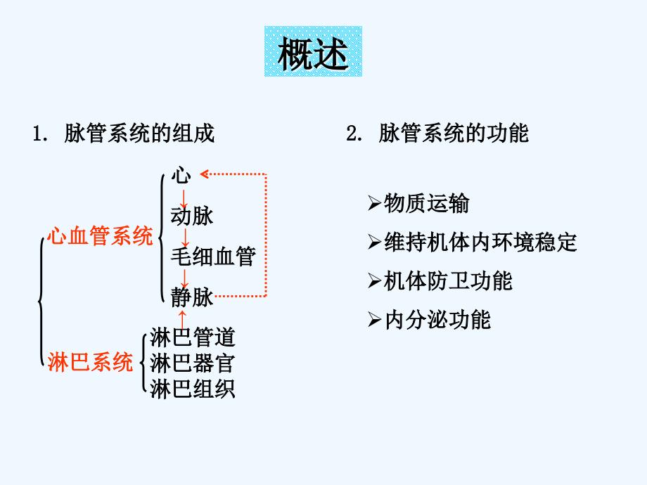 第七章脉管系统_第4页