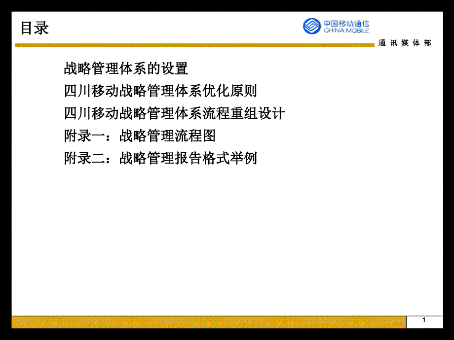 四川移动战略管理流程手册_第2页