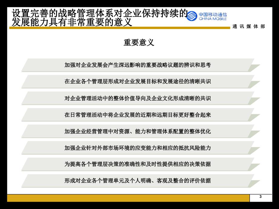 四川移动战略管理流程手册_第4页