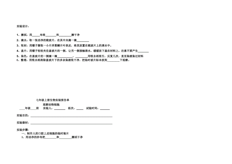 七年级上册生物实验报告单[共10页]_第4页