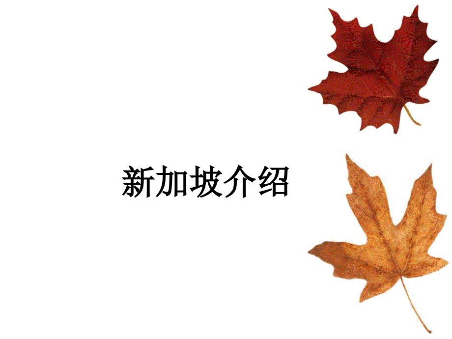 新加坡的中文介绍_第1页