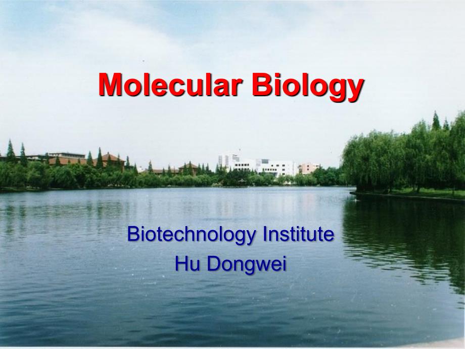 分子生物学DNA的复制_第1页