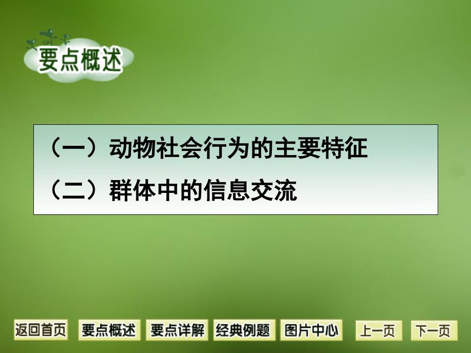 人教版初中生物八年级上册课件5.2.3动物的社会行为共13张PPT_第2页