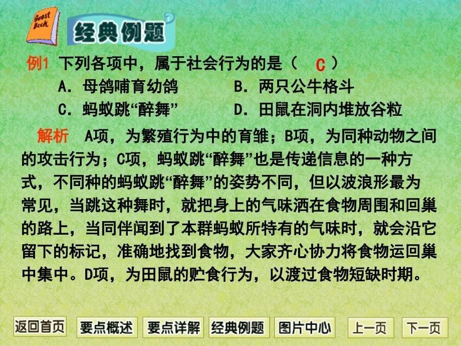 人教版初中生物八年级上册课件5.2.3动物的社会行为共13张PPT_第5页