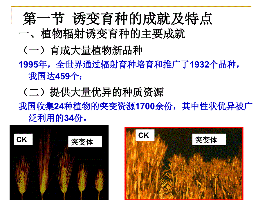 第七章诱变育种_第2页