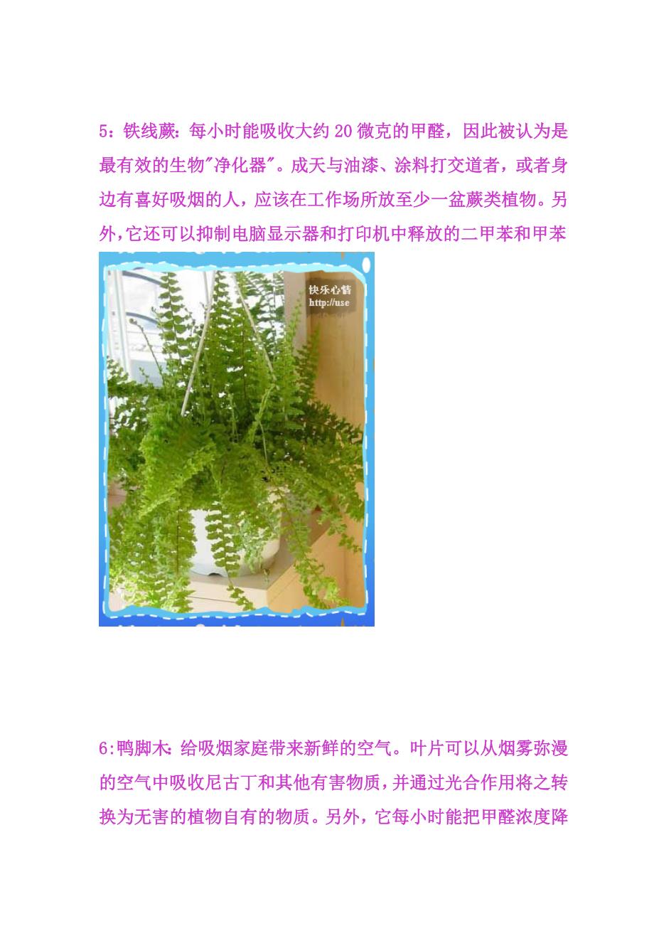 18种植物对室内的净化作用.doc_第4页