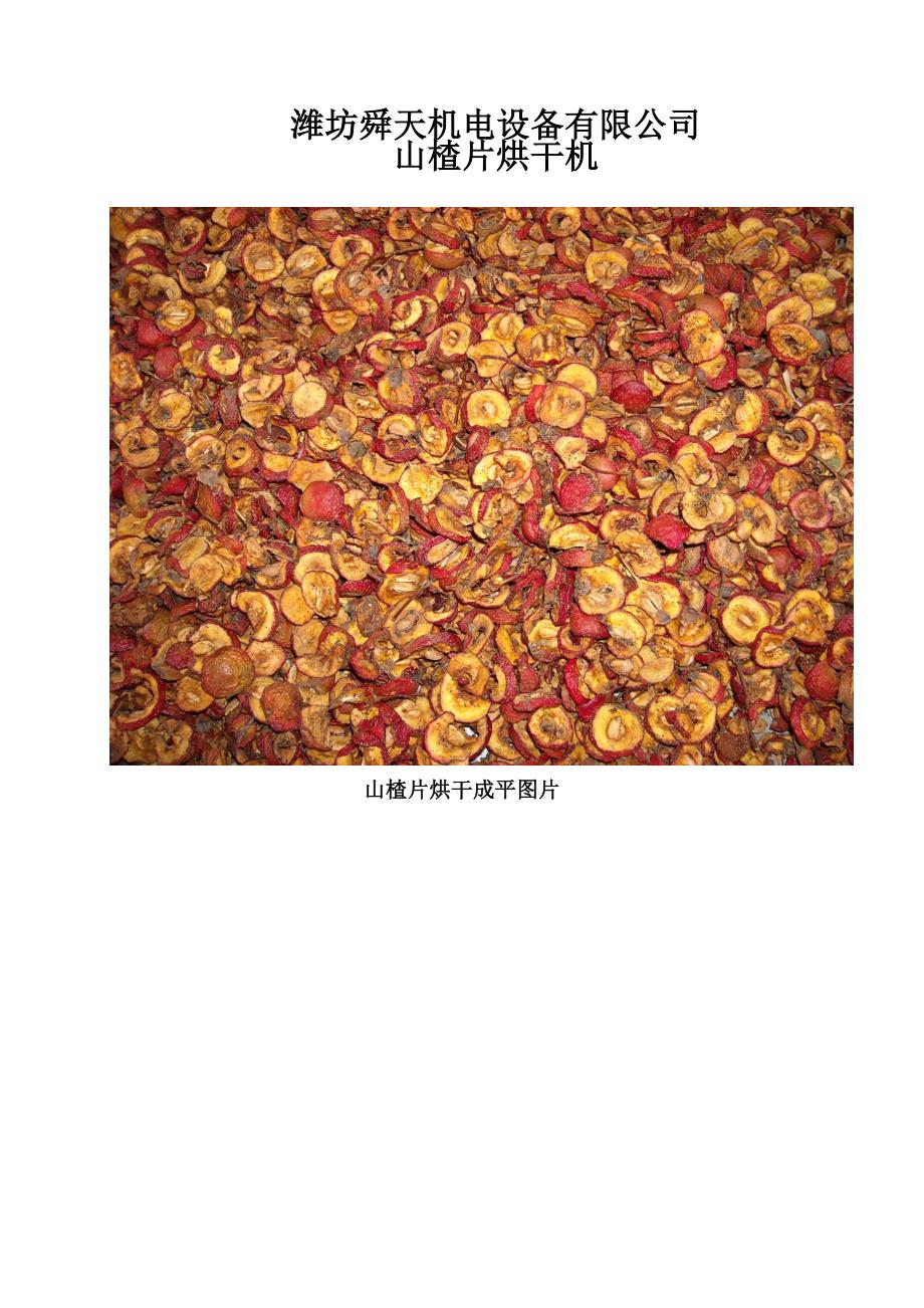 山楂片烘干机.doc_第1页