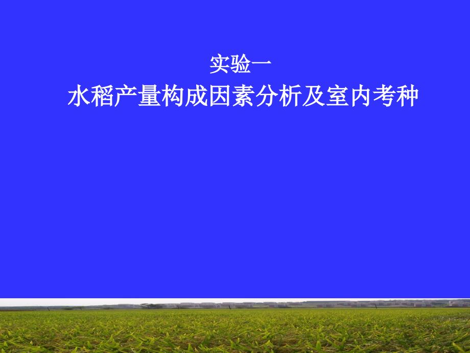 实验一水稻产量构成因素分析及室内考种_第2页