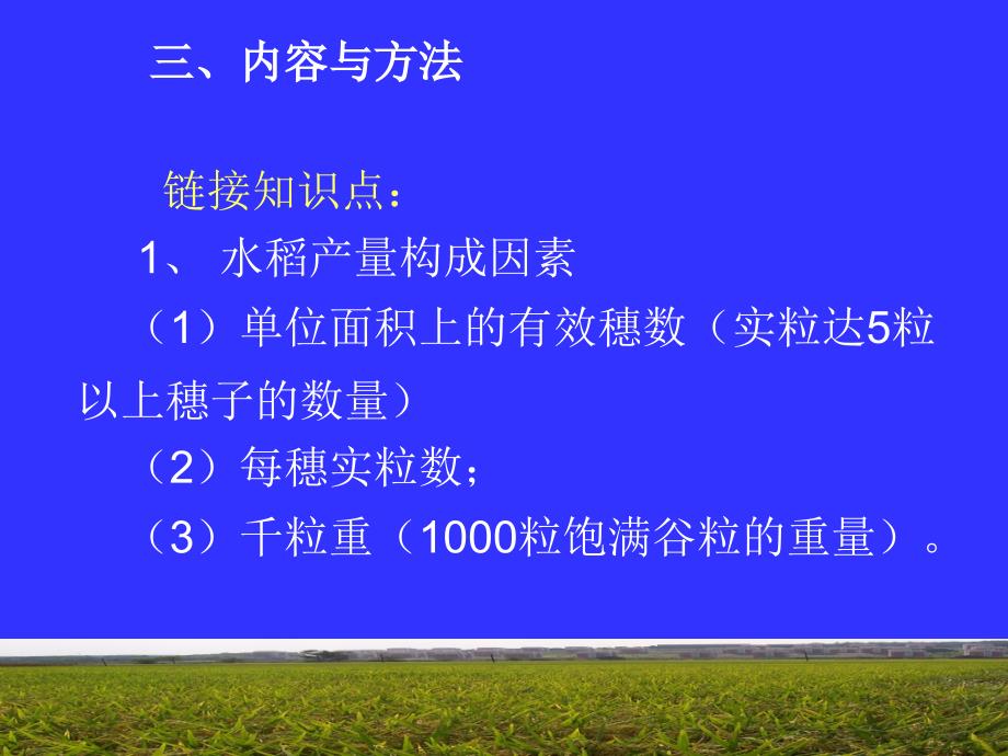 实验一水稻产量构成因素分析及室内考种_第4页