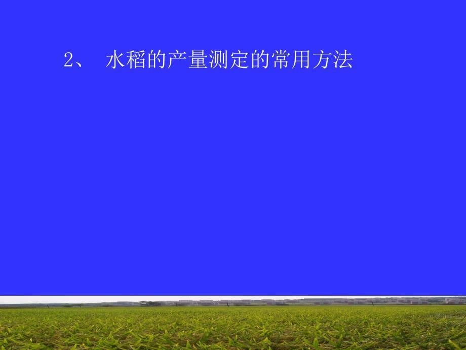 实验一水稻产量构成因素分析及室内考种_第5页