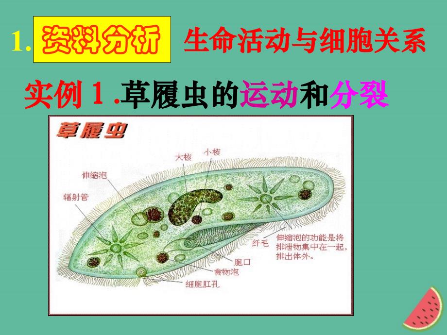 四川省成都市高中生物第一章走近细胞1.1从生物圈到细胞课件新人教版必修1_第4页