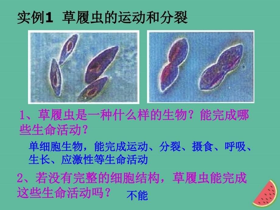 四川省成都市高中生物第一章走近细胞1.1从生物圈到细胞课件新人教版必修1_第5页