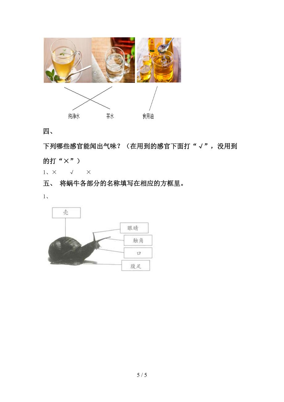 教科版一年级科学上册期中试卷及答案【最新】.doc_第5页