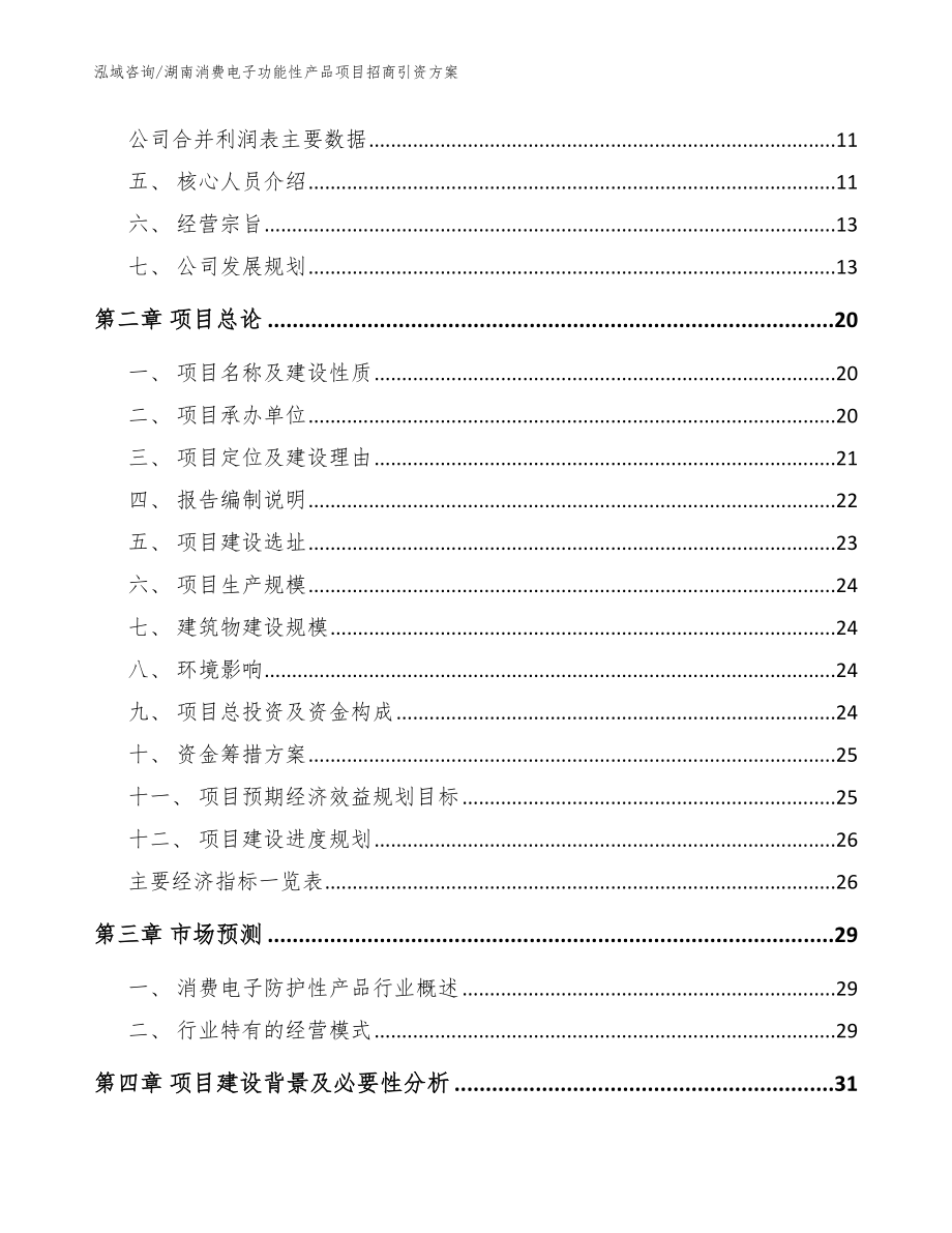 湖南消费电子功能性产品项目招商引资方案_范文_第3页