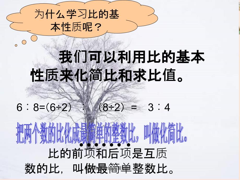 比基本性质练习课解析_第4页