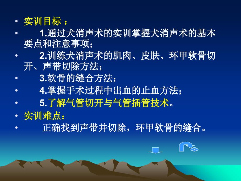 实训项目任务六---消声手术PPT课件_第2页