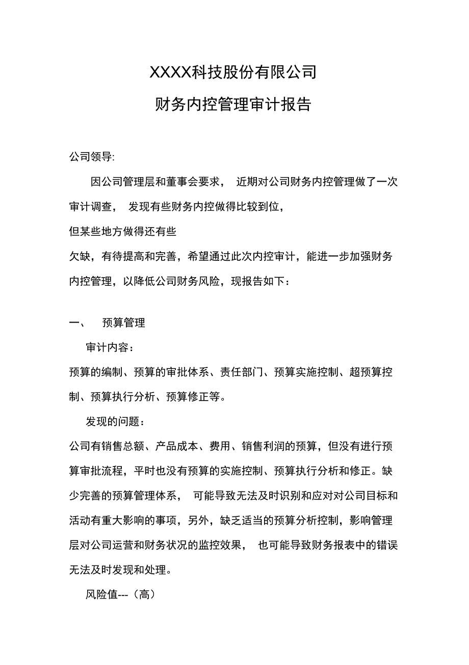 财务内控审计报告_第1页