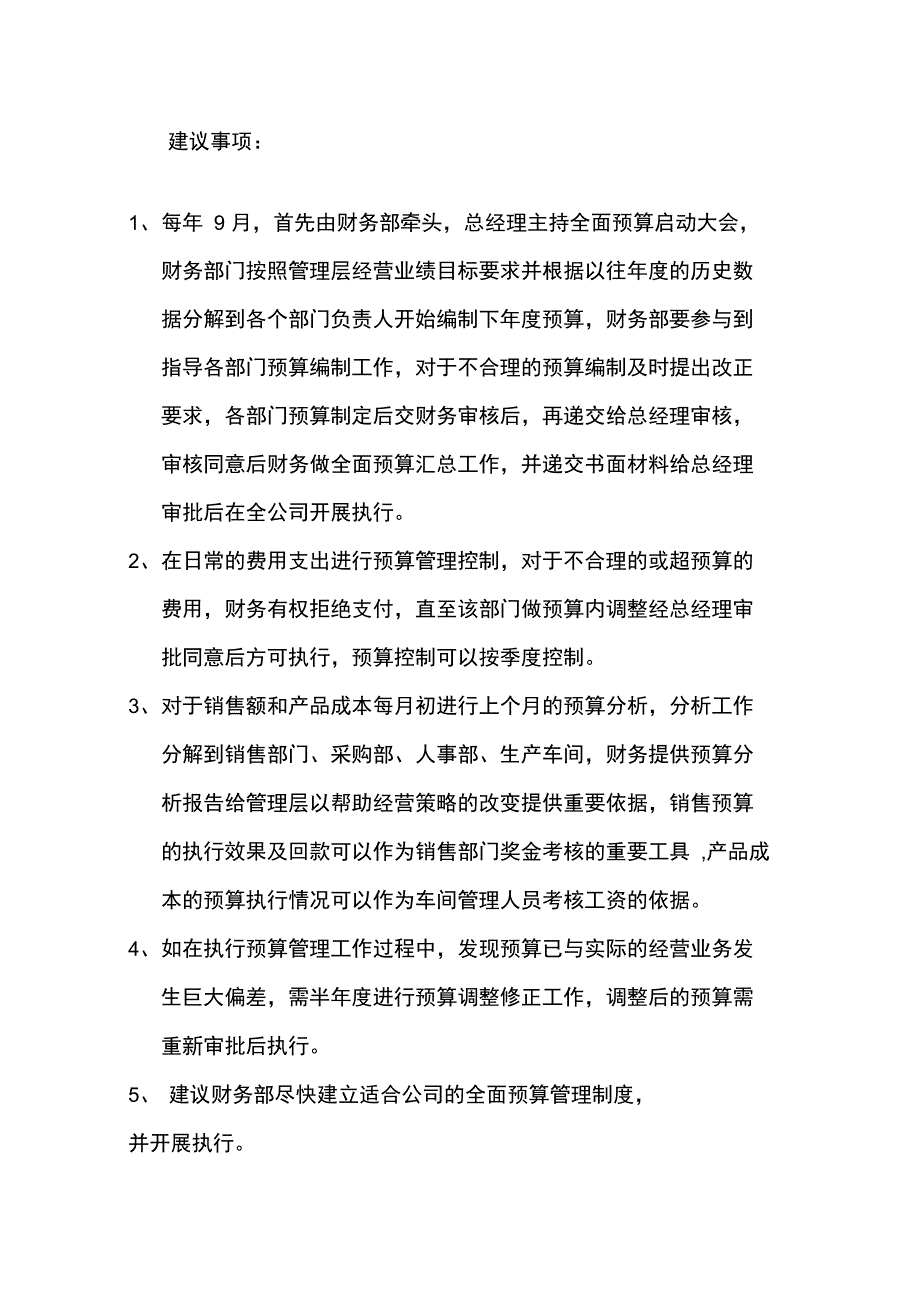 财务内控审计报告_第2页