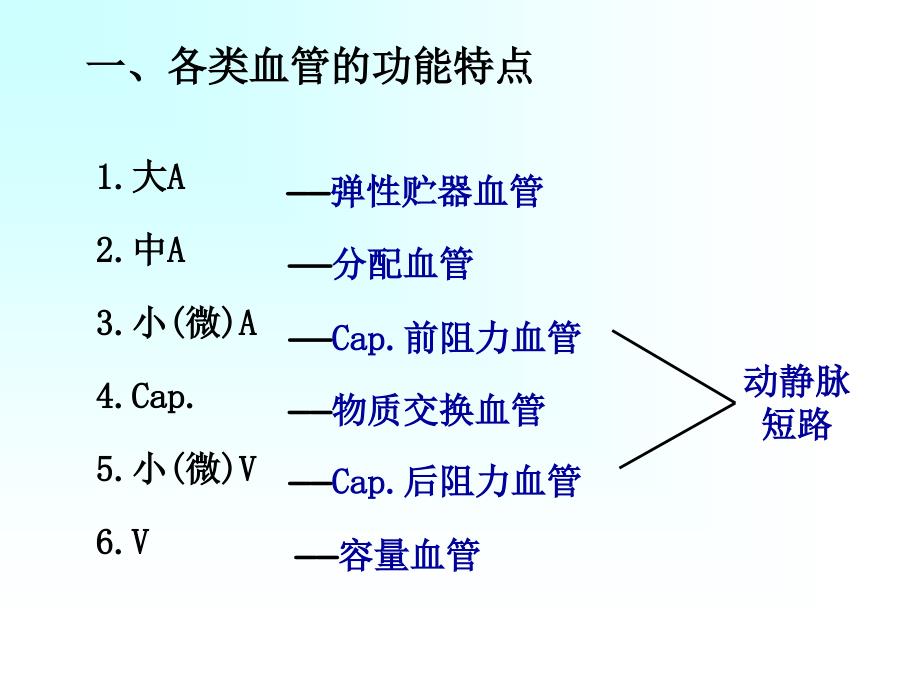 循环3血管生理课件_第2页