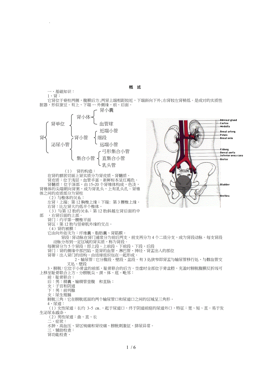 内科学泌尿系统疾病总结_第1页
