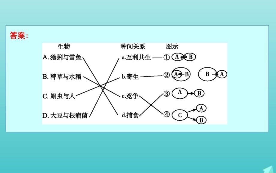 版高考生物总复习第31讲群落的结构与演替课件新人教版_第5页