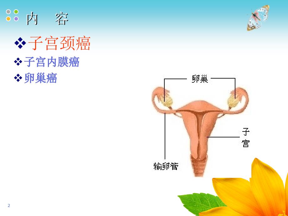 女性生殖系统肿瘤诊治课件_第2页