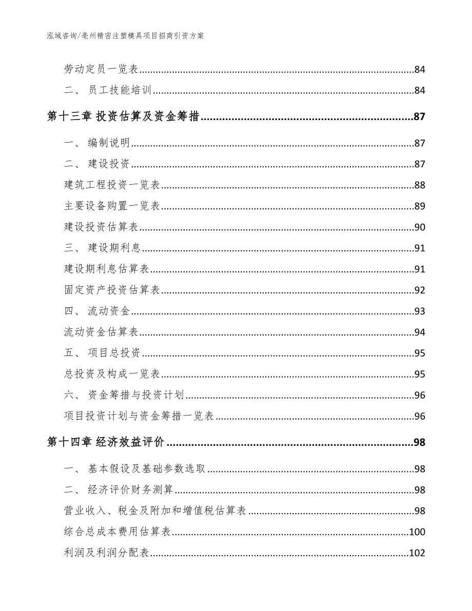 亳州精密注塑模具项目招商引资方案模板范本_第5页