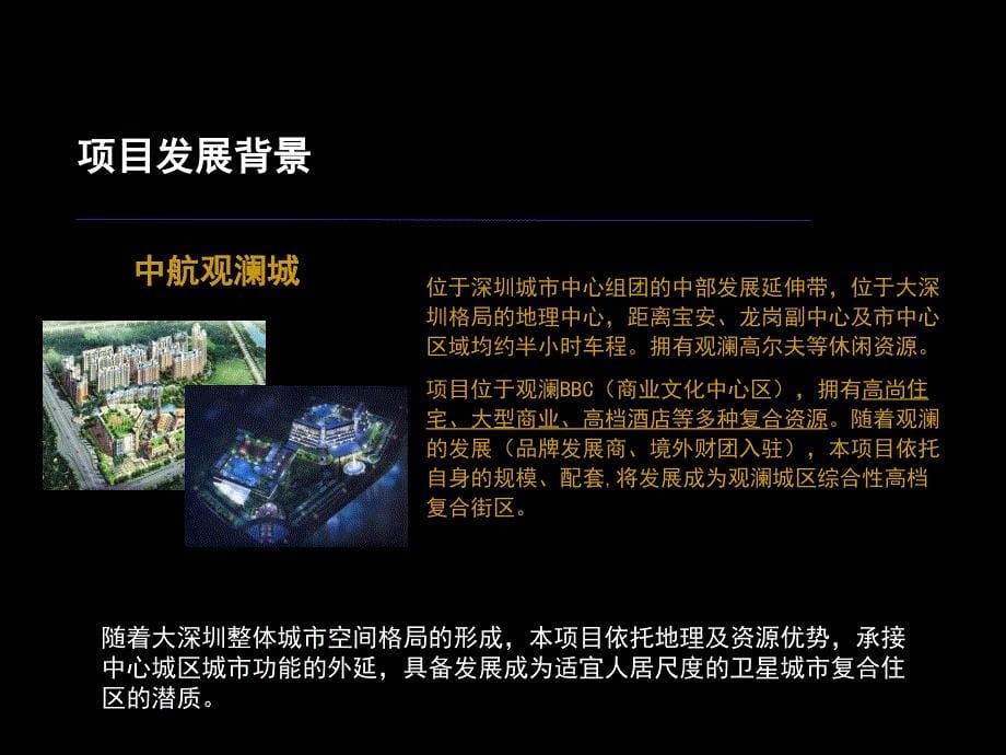 房地产开发项目中航整体推广计划策划方案_第5页