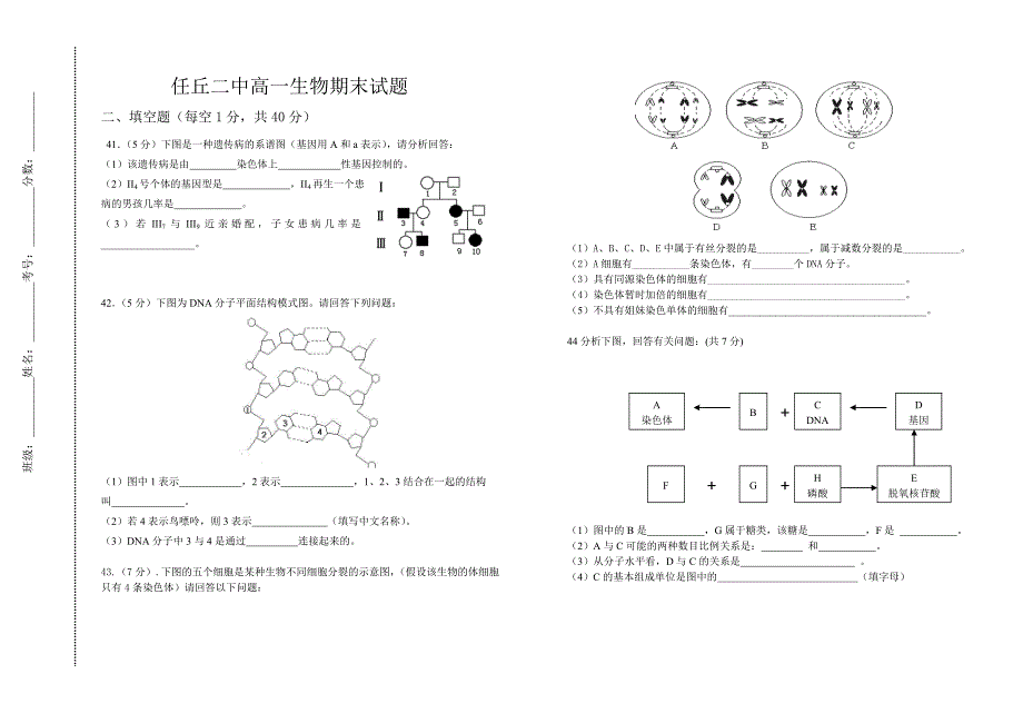 人教版高中生物必修二期末试题_第3页