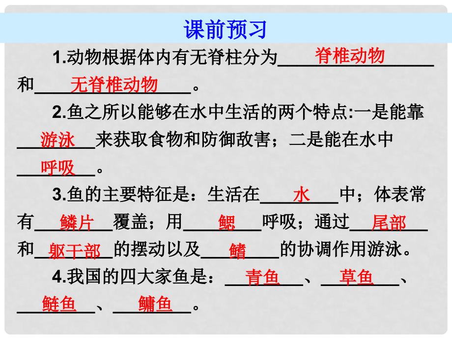 广东省八年级生物上册 第五单元 第1章 第4节 鱼导练课件 （新版）新人教版_第4页