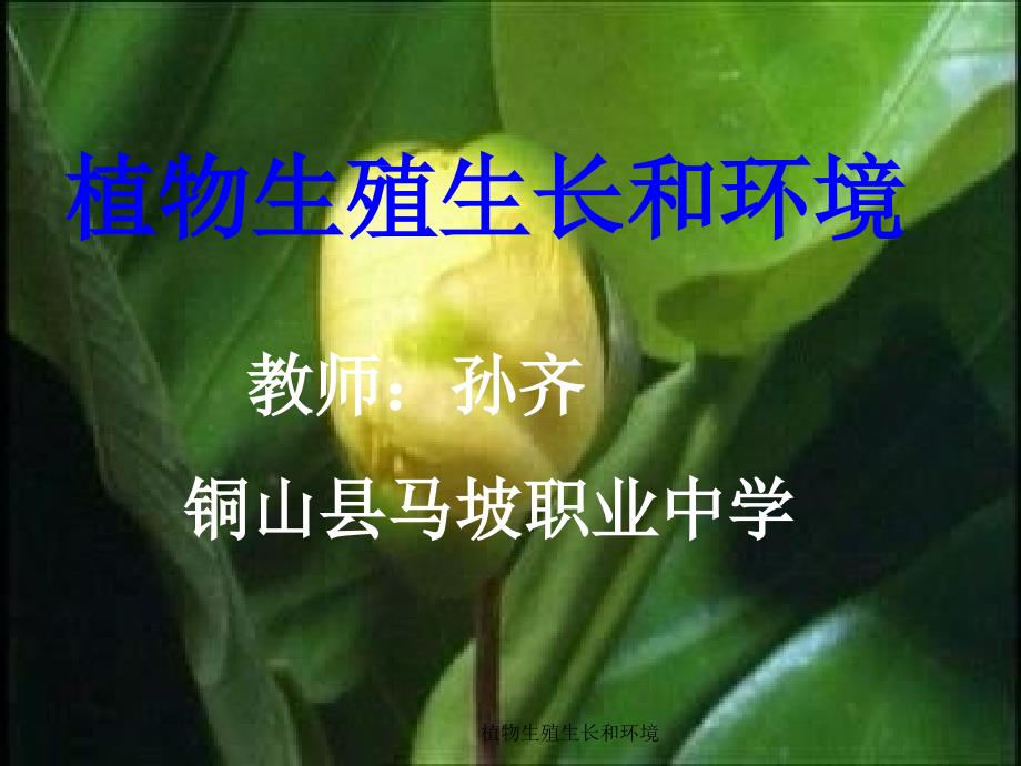 植物生殖生长和环境课件_第1页