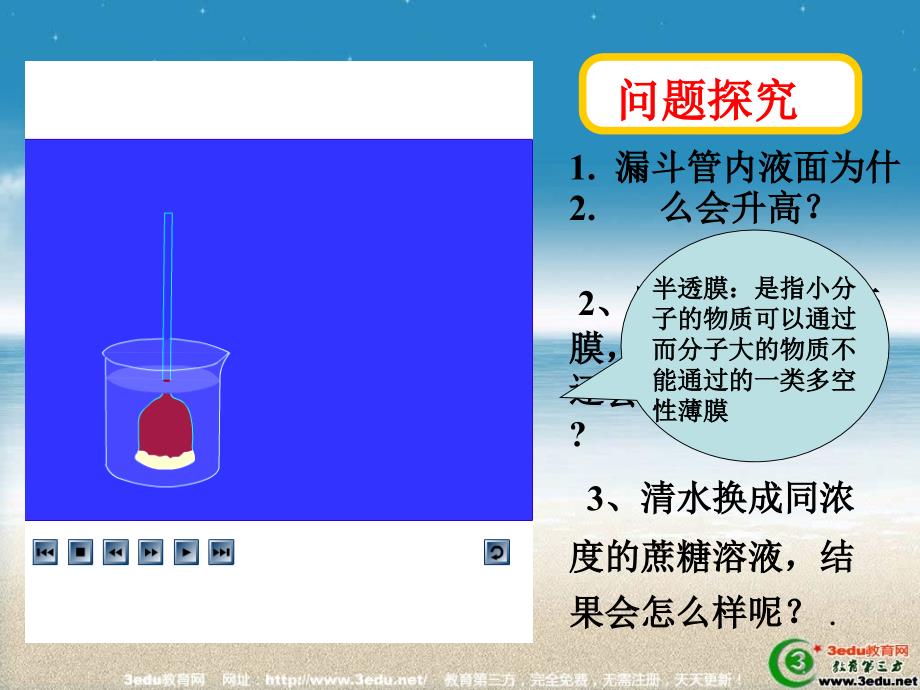 qAAA高一生物物质跨膜运输的实例3_第3页