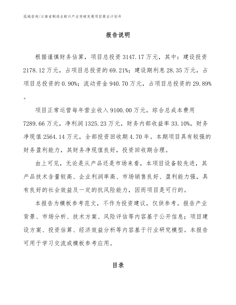 云南省制造业新兴产业突破发展项目商业计划书_第2页