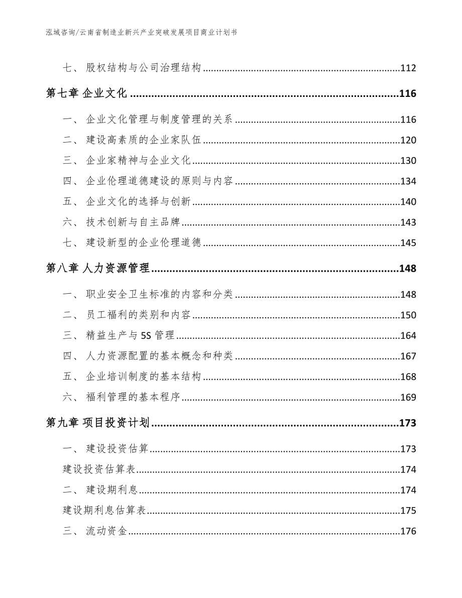 云南省制造业新兴产业突破发展项目商业计划书_第5页