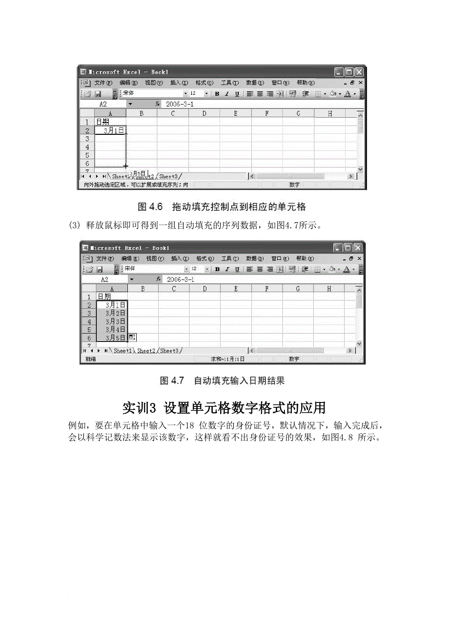 第4章中文Excel2003实训_第5页