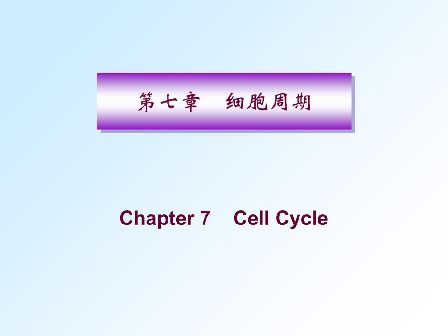 分子生物学：细胞周期-研究生课件_第1页