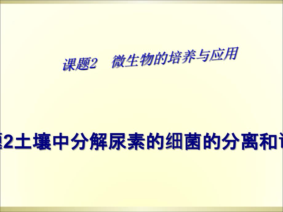 土壤中分解尿素的细菌的分离和计数-课件_第1页