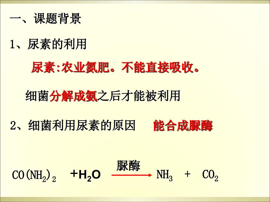 土壤中分解尿素的细菌的分离和计数-课件_第2页