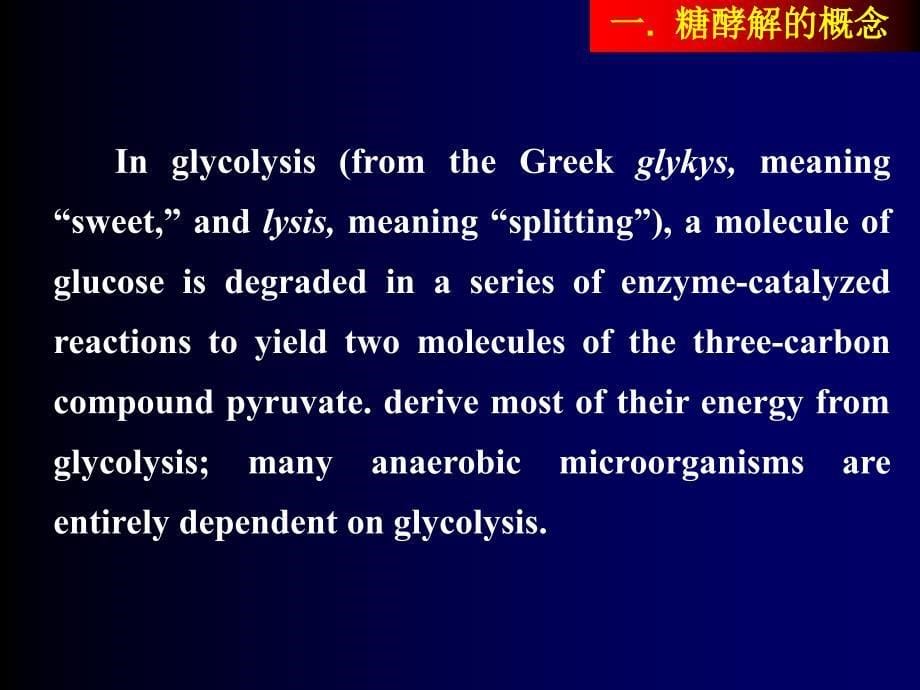 二节糖酵解glycolysis_第5页